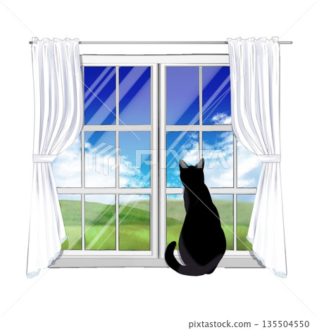 A cat watching the outside from the window A cat watching the outside from the window 135504550