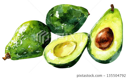 Watercolor fresh avocados fruit isolated on white background 135504792