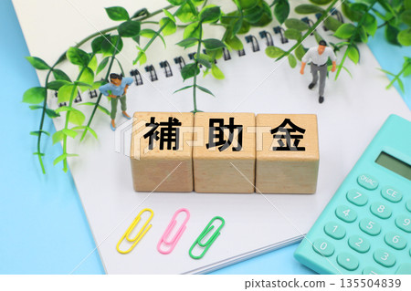 A block with the word "Subsidy" written on it 135504839