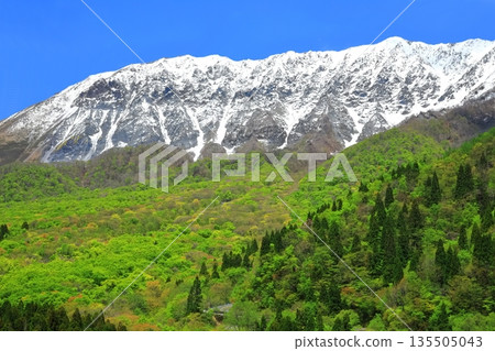 [Tottori Prefecture] Snow-capped Daisen and fresh green as seen from Kagikake Pass 135505043