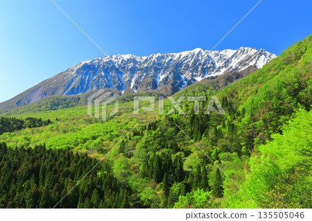 [Tottori Prefecture] Snow-capped Daisen and fresh green as seen from Kagikake Pass 135505046