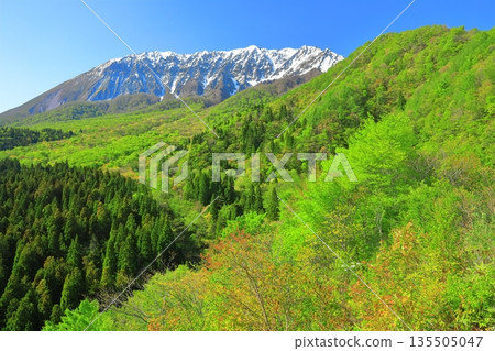 [Tottori Prefecture] Snow-capped Daisen and fresh green as seen from Kagikake Pass 135505047