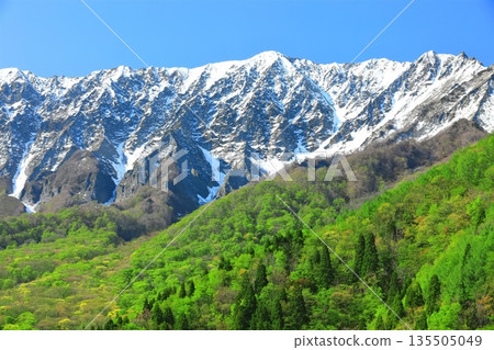 [鳥取縣]雪山大仙和新鮮的綠色，從神g嶽山口看 135505049