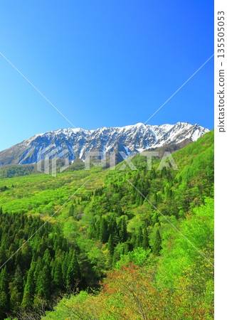[鳥取縣]雪山大仙和新鮮的綠色，從神g嶽山口看 135505053