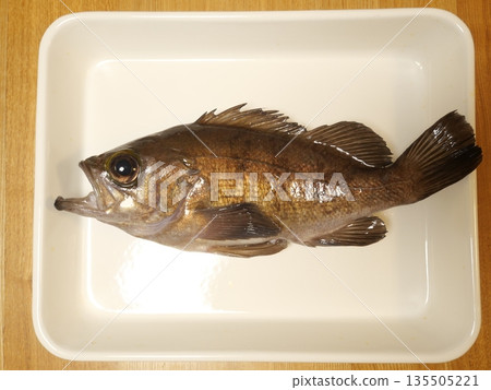 看起來很美味的石斑魚 看起來很美味的石斑魚 135505221