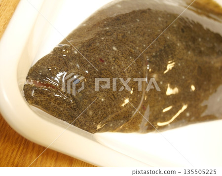 Wild flounder is delicious Wild flounder is delicious 135505225