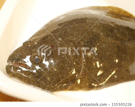 野生比目魚味道鮮美 野生比目魚味道鮮美 135505226