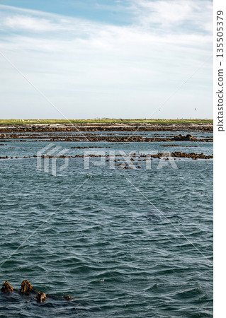 Calm water stretching towards a distant rocky shore under a partly cloudy sky Calm water stretching towards a distant rocky shore under a partly cloudy sky 135505379
