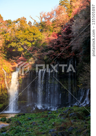 Beautiful and magnificent scenery of Shiraito Falls in Fujinomiya 135505897