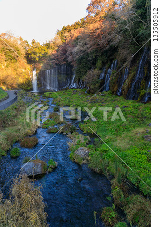 富士宮白絲瀑佈景色優美壯麗 135505912