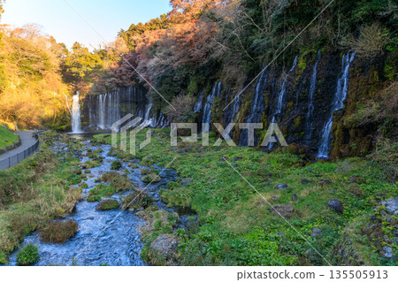 富士宮白絲瀑佈景色優美壯麗 135505913