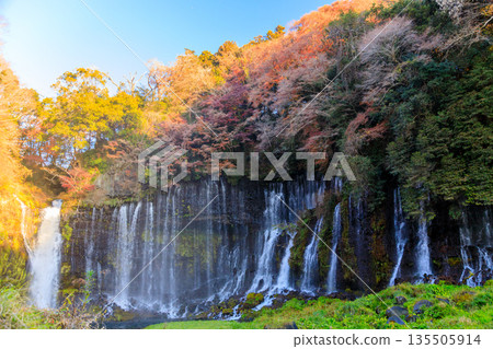 富士宮白絲瀑佈景色優美壯麗 135505914