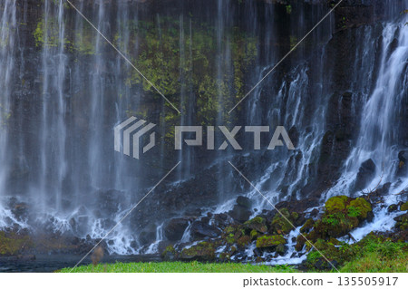 富士宮白絲瀑佈景色優美壯麗 135505917