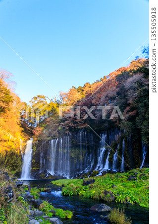 富士宮白絲瀑佈景色優美壯麗 135505918