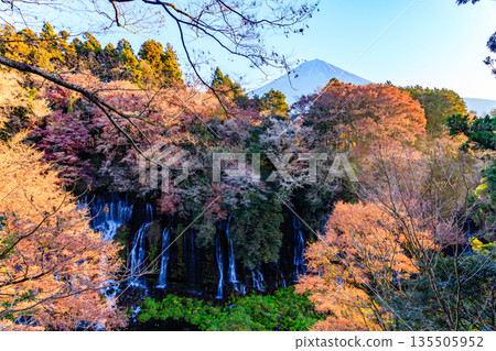 富士宮白絲瀑佈景色優美壯麗 135505952