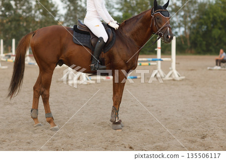 Dressage horse and rider in uniform during equestrian jumping competition 135506117