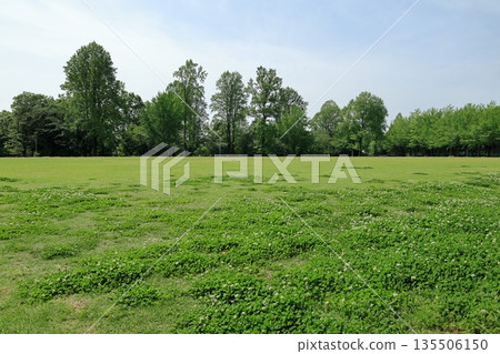 The grass area of Tsukuba Expo Memorial Park The grass area of Tsukuba Expo Memorial Park 135506150