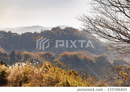 從覆蓋著秋日搖曳蘆葦草的山丘上，可以飽覽相模灣和綿延山脈的壯麗全景。 135506804