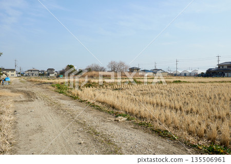 A straight farm road stretching through the countryside in winter A straight farm road stretching through the countryside in winter 135506961
