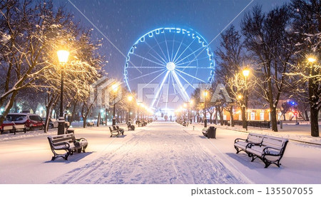 冬季遊樂園 135507055