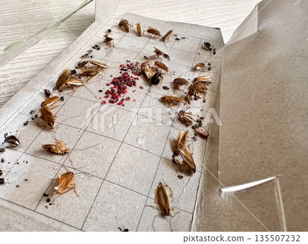 cockroach traps, a remedy for cockroaches in an apartment 135507232