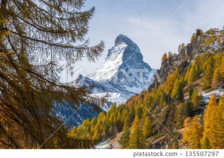 瑞士瓦萊州採爾馬特，秋日落葉松與馬特洪峰的景色 135507297