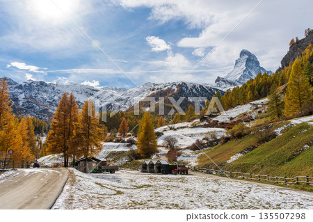 馬特洪峰、秋色落葉松和雪景。瑞士瓦萊州採爾馬特 135507298