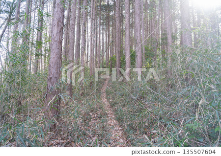 從石尾山大聖寺到寺山(埼玉縣小川町)的健行路線 從石尾山大聖寺到寺山(埼玉縣小川町)的健行路線 135507604