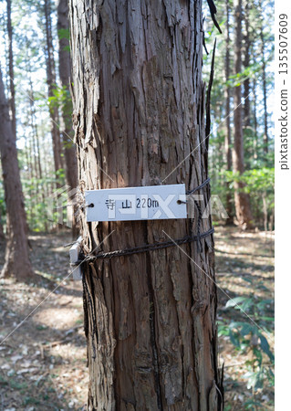 Terayama Mountaintop (Ogawamachi, Saitama Prefecture) 135507609