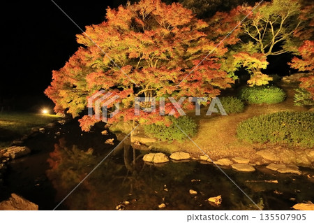 Ritsurin Garden Autumn Light-up 2025 135507905