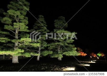 栗林花園2025年秋季燈光秀 栗林花園2025年秋季燈光秀 135507906