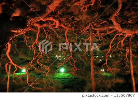 栗林花園2025年秋季燈光秀 栗林花園2025年秋季燈光秀 135507907