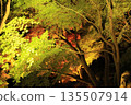 Ritsurin Garden Autumn Light-up 2025 Ritsurin Garden Autumn Light-up 2025 135507914