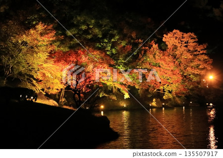 Ritsurin Garden Autumn Light-up 2025 135507917