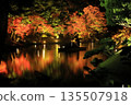 Ritsurin Garden Autumn Light-up 2025 Ritsurin Garden Autumn Light-up 2025 135507918