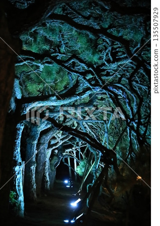 栗林花園2025年秋季燈光秀 135507929