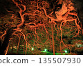 Ritsurin Garden Autumn Light-up 2025 Ritsurin Garden Autumn Light-up 2025 135507930