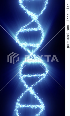 Abstract glowing DNA double helix made of blue light particles symbolizing genetics, science, and biotechnology Abstract glowing DNA double helix made of blue light particles symbolizing genetics, science, and biotechnology 135508137
