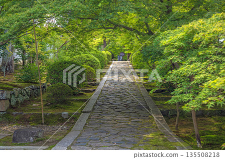 Summer scenery of the approach to Shuonan Ikkyu-ji Temple in Kyoto 135508218