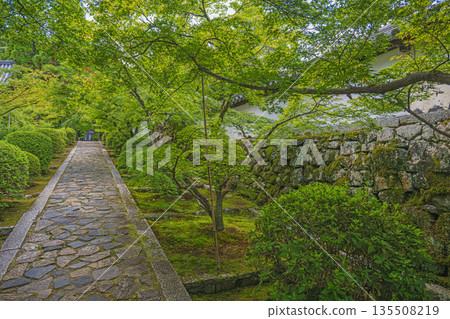 Summer scenery of the approach to Shuonan Ikkyu-ji Temple in Kyoto 135508219
