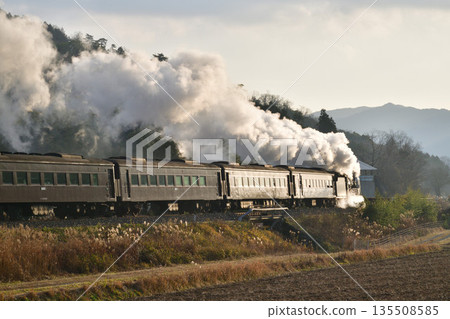 Yamaguchi 3 135508585