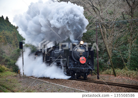 山口4號 135508586