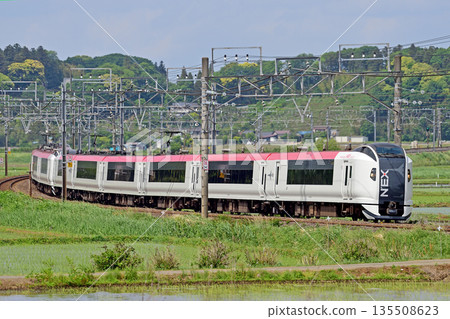 總武本線、櫻之物、JR東日本、E259系、NE021編組（鎌倉）、成田特快NEX 135508623