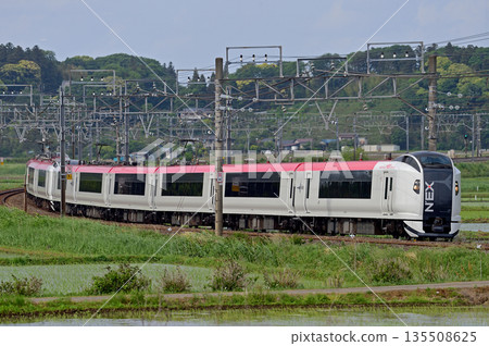 總武本線、櫻之物、JR東日本、E259系、NE003編組（鎌倉）、成田特快NEX 135508625