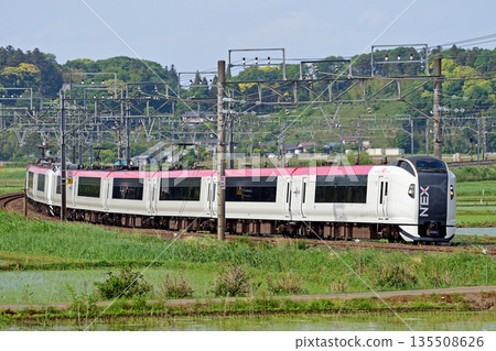 總武本線、櫻之物、JR東日本、E259系、NE005編組（鎌倉）、成田特快NEX 135508626