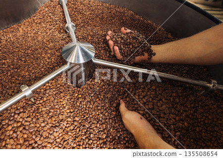 Unrecognizable male worker checking quality of fresh coffee beans in machine drum Unrecognizable male worker checking quality of fresh coffee beans in machine drum 135508654
