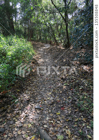 Ritsurin Garden, a path near the remains of the Fudoguchi Gate at the foot of Mount Shiun at the southern end of Lake Saiko 135508848