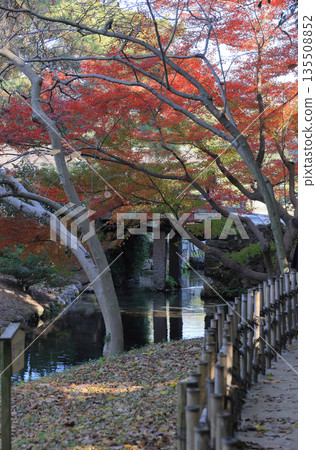 Ritsurin Garden, autumn foliage at Tsurugyokuryo, which separates Suiryutan Pond at the southern end of Lake Saiko from Lake Nanko Ritsurin Garden, autumn foliage at Tsurugyokuryo, which separates Suiryutan Pond at the southern end of Lake Saiko from Lake Nanko 135508852