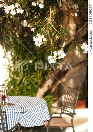 Outdoor dining table with checkered tablecloth surrounded by lush greenery and blooming flowers Outdoor dining table with checkered tablecloth surrounded by lush greenery and blooming flowers 135509027