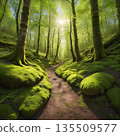 Spring Forest Path 135509577